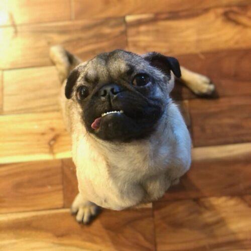 Photo Feb 21 2023, 8 19 47 AM