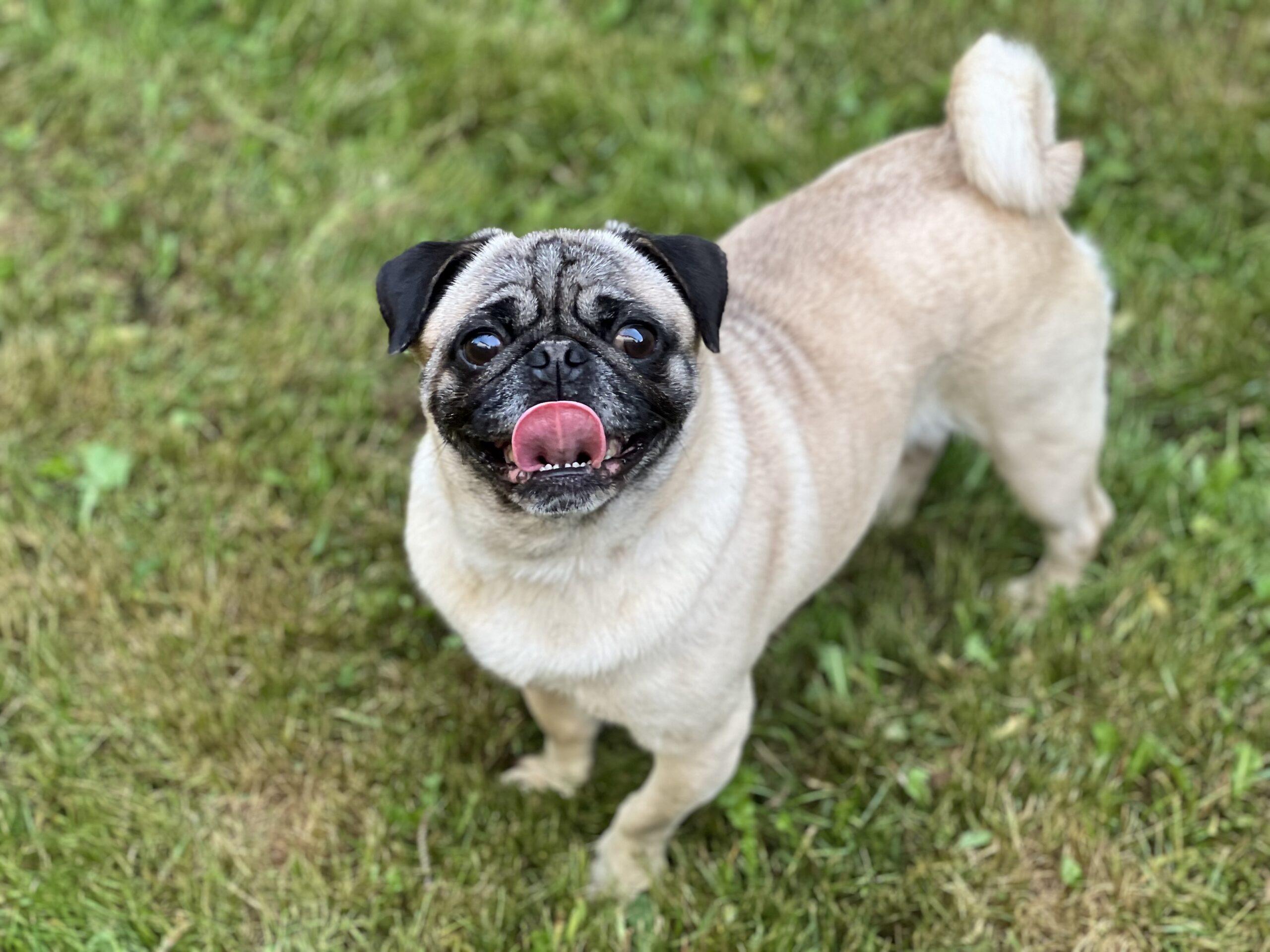 Photo May 16 2023, 6 22 36 PM