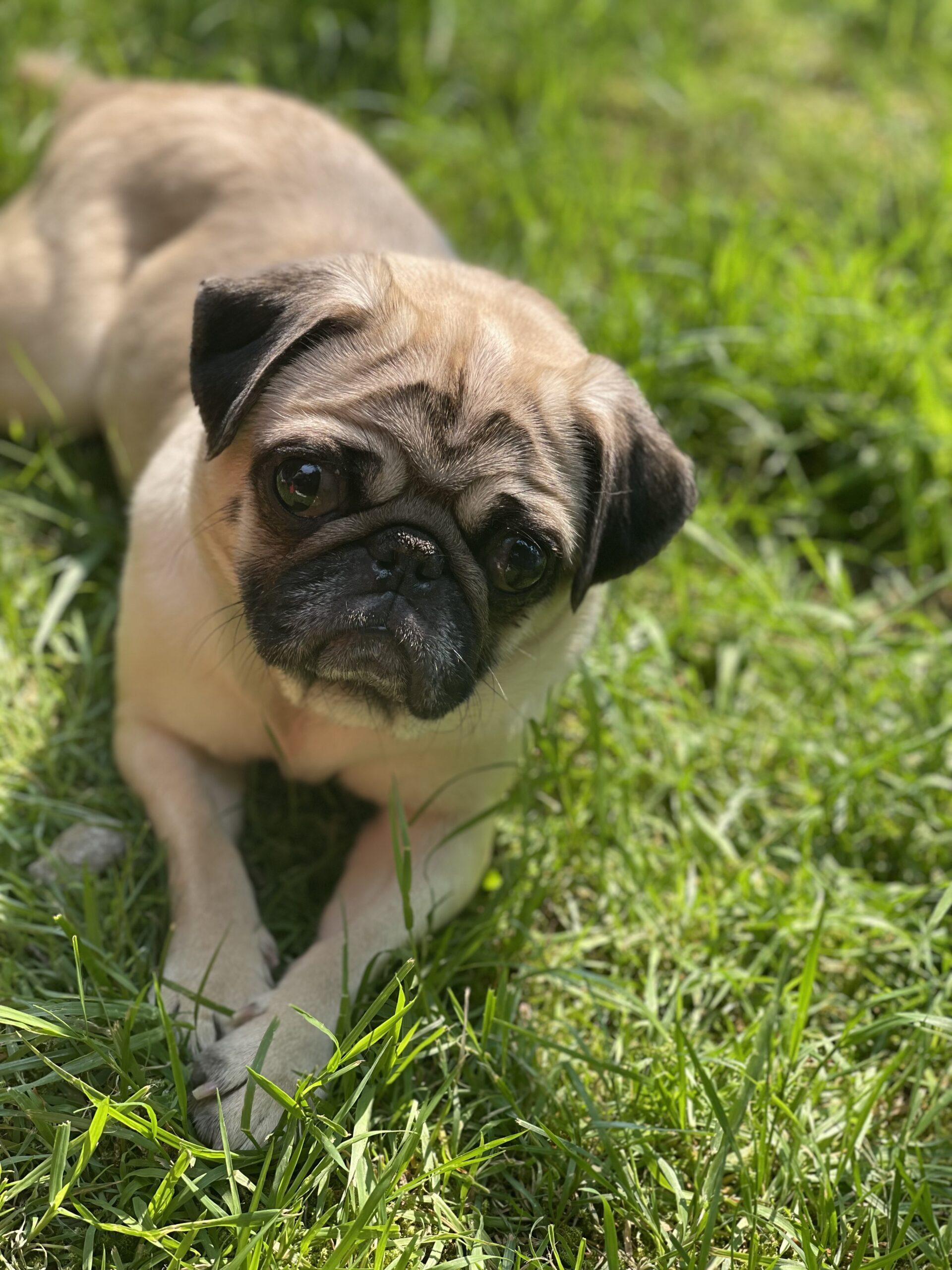 Photo May 17 2023, 10 58 46 AM