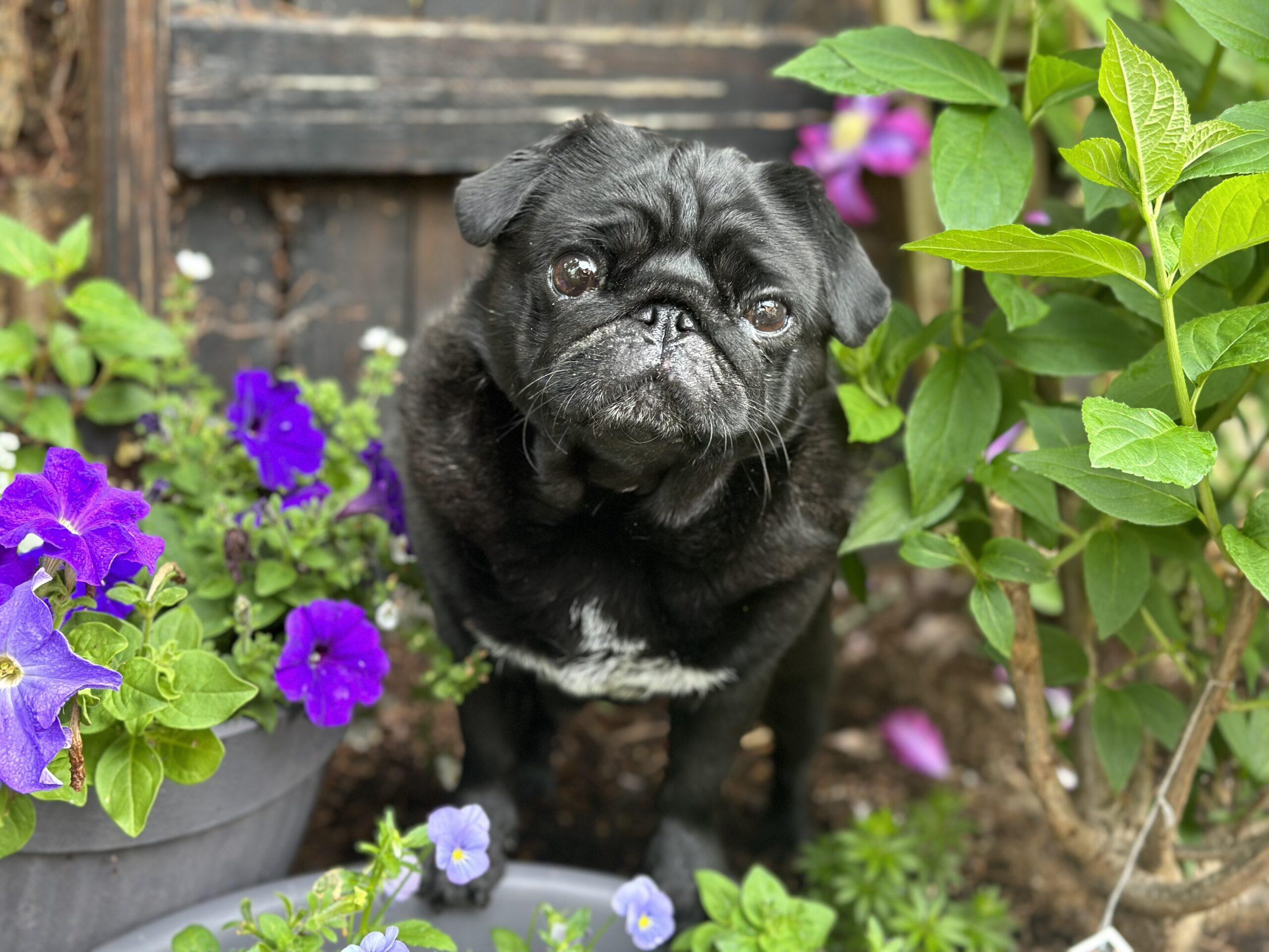 Photo May 17 2023, 12 11 11 PM