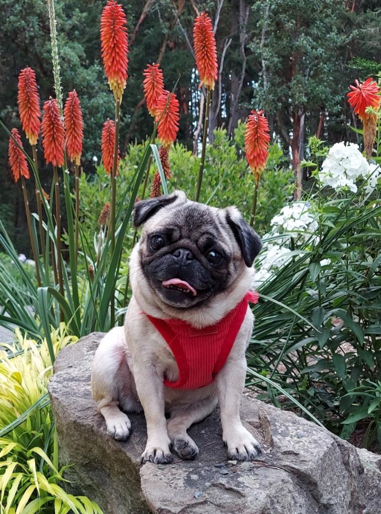 Photo May 25 2023, 9 36 03 PM (10) (1)