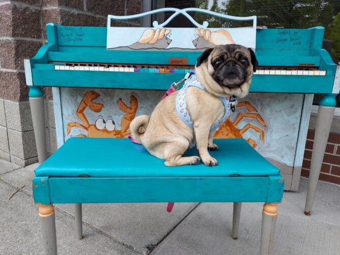 Photo May 25 2023, 9 36 03 PM (12) (1)