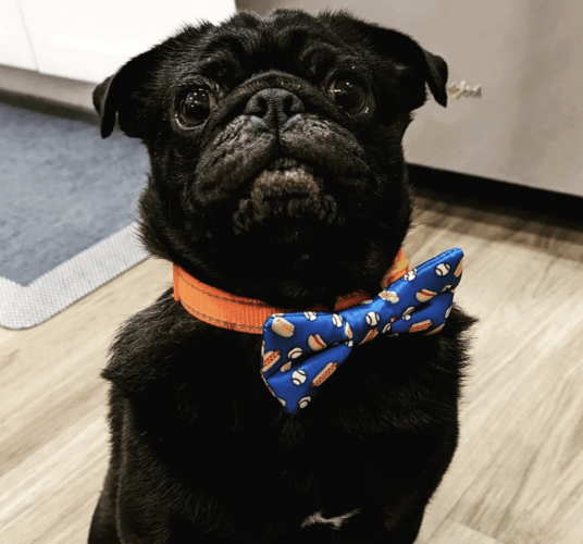 Screenshot 2023-05-23 at 9.59.07 PM