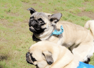 Screenshot 2023-05-25 at 4.56.37 PM