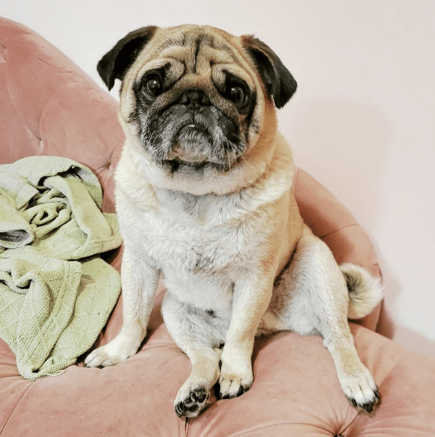 Screenshot 2023-05-25 at 4.57.59 PM