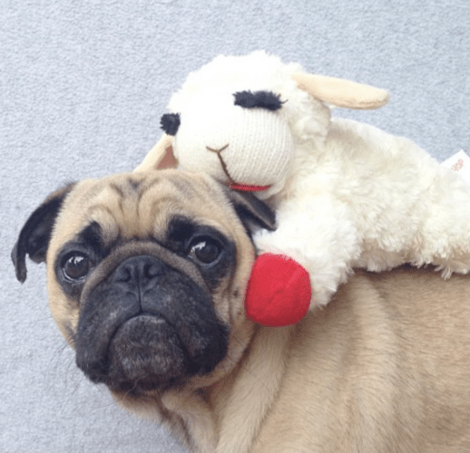 Screenshot 2023-05-29 at 10.47.21 AM